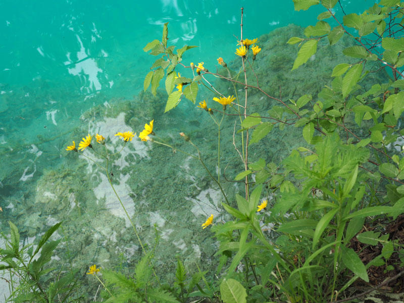 One the edge of the lake