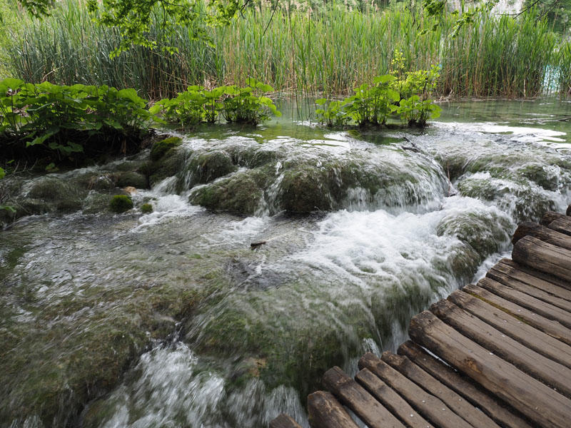 Beside the waterfalls