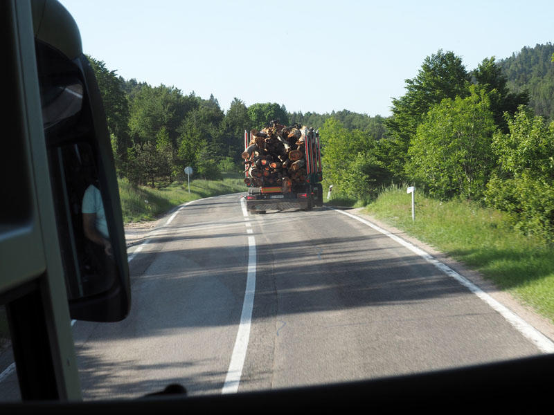 Cut off by a truck carrying wood for the sawmills