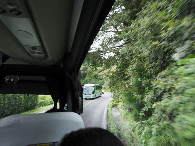 The winding road to Zarcero