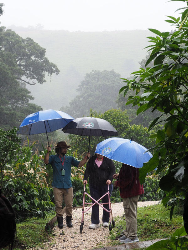 Heavy downpour while at the Monteverde Cafe