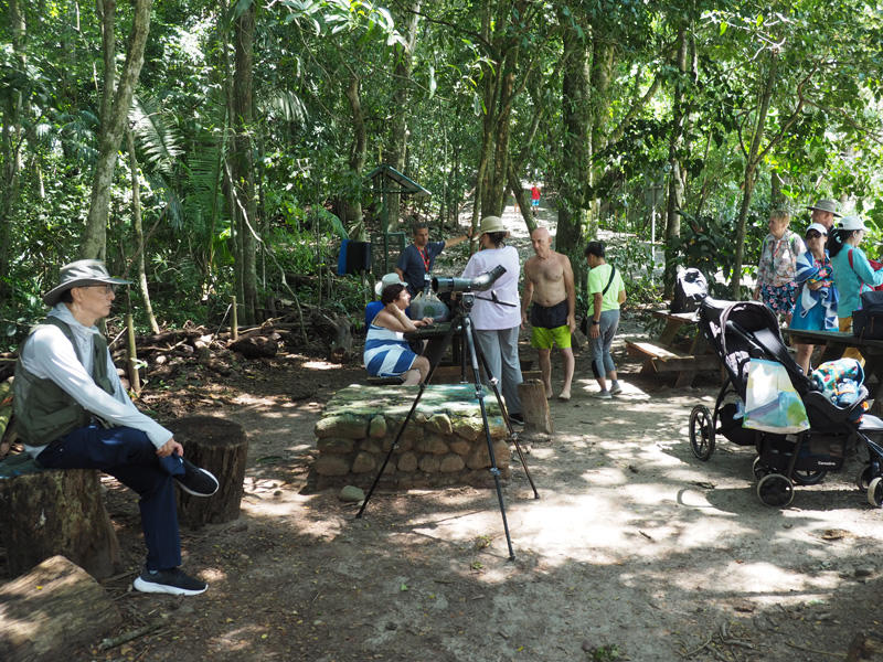 The tour group in Manuel Antonio National Park