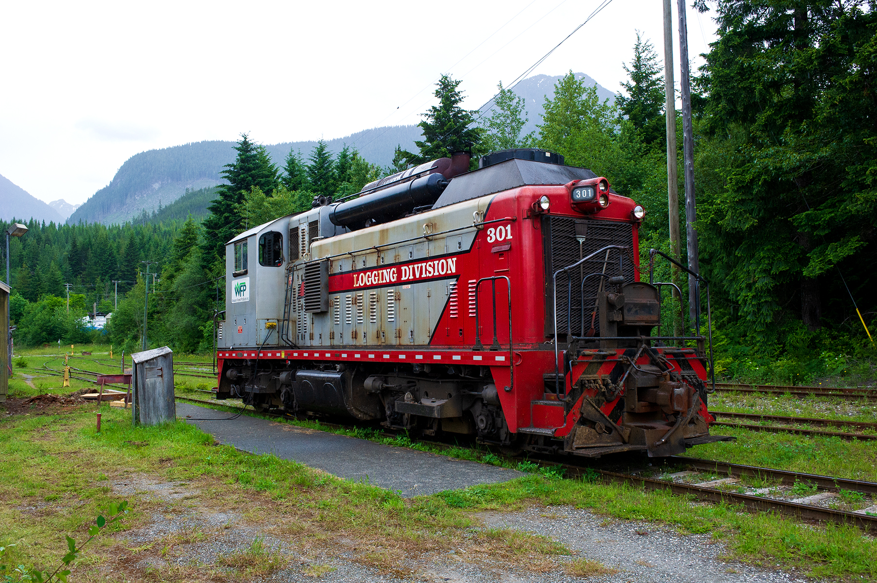 2013 06 23 153906 WESTERN FOREST PRODUCTS  D3S copy.jpg