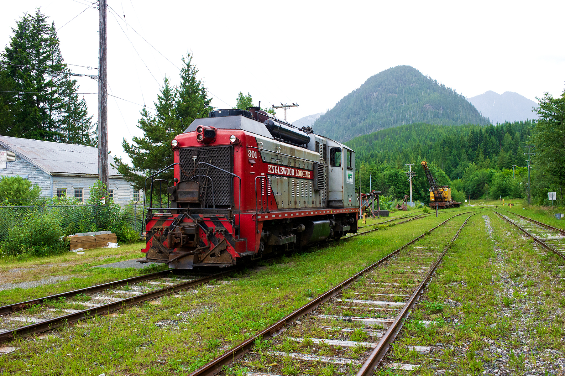 2013 06 23 153945 WESTERN FOREST PRODUCTS  D3S copy.jpg