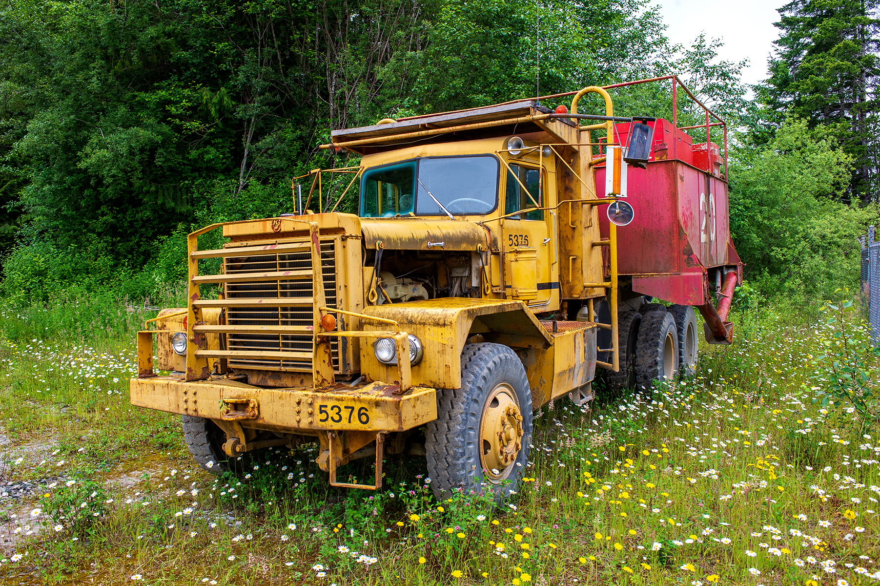 Near Woss, BC