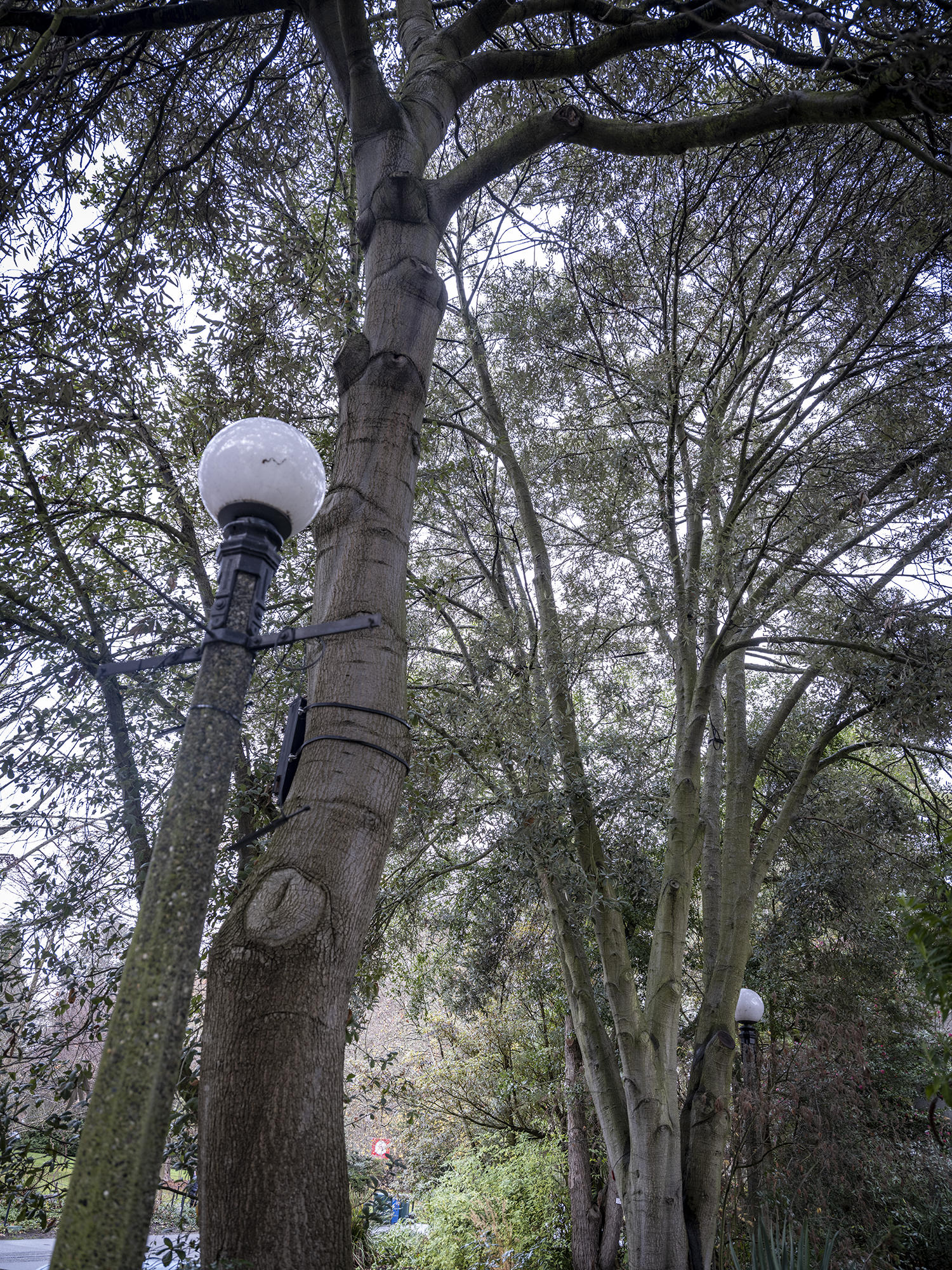 Carl S. English Jr. Botanical Garden