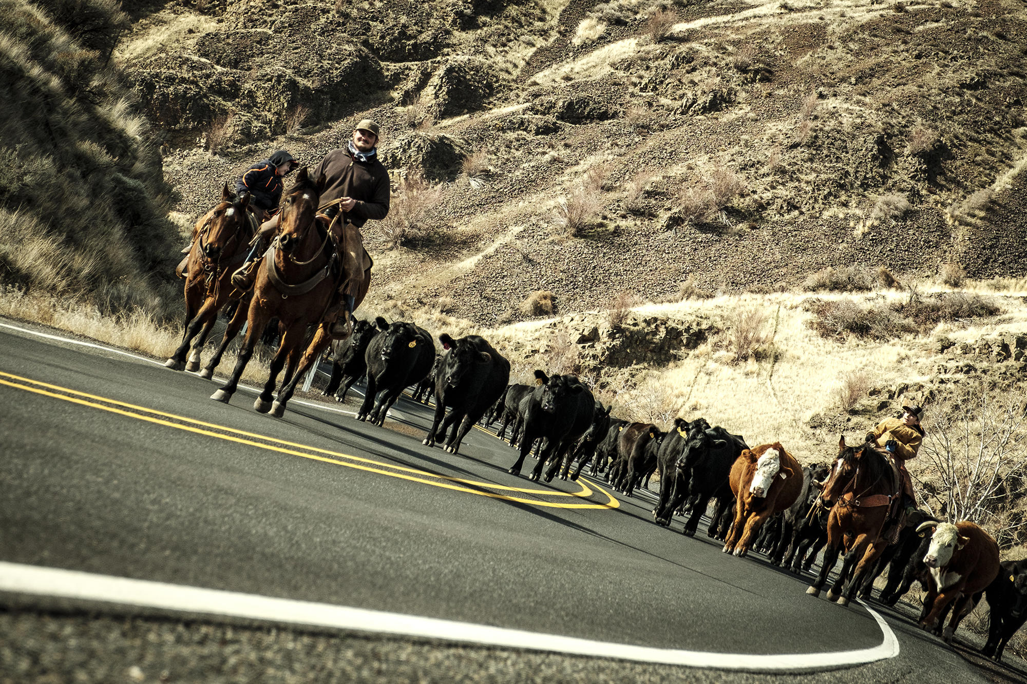 Eaton Cattle Drive