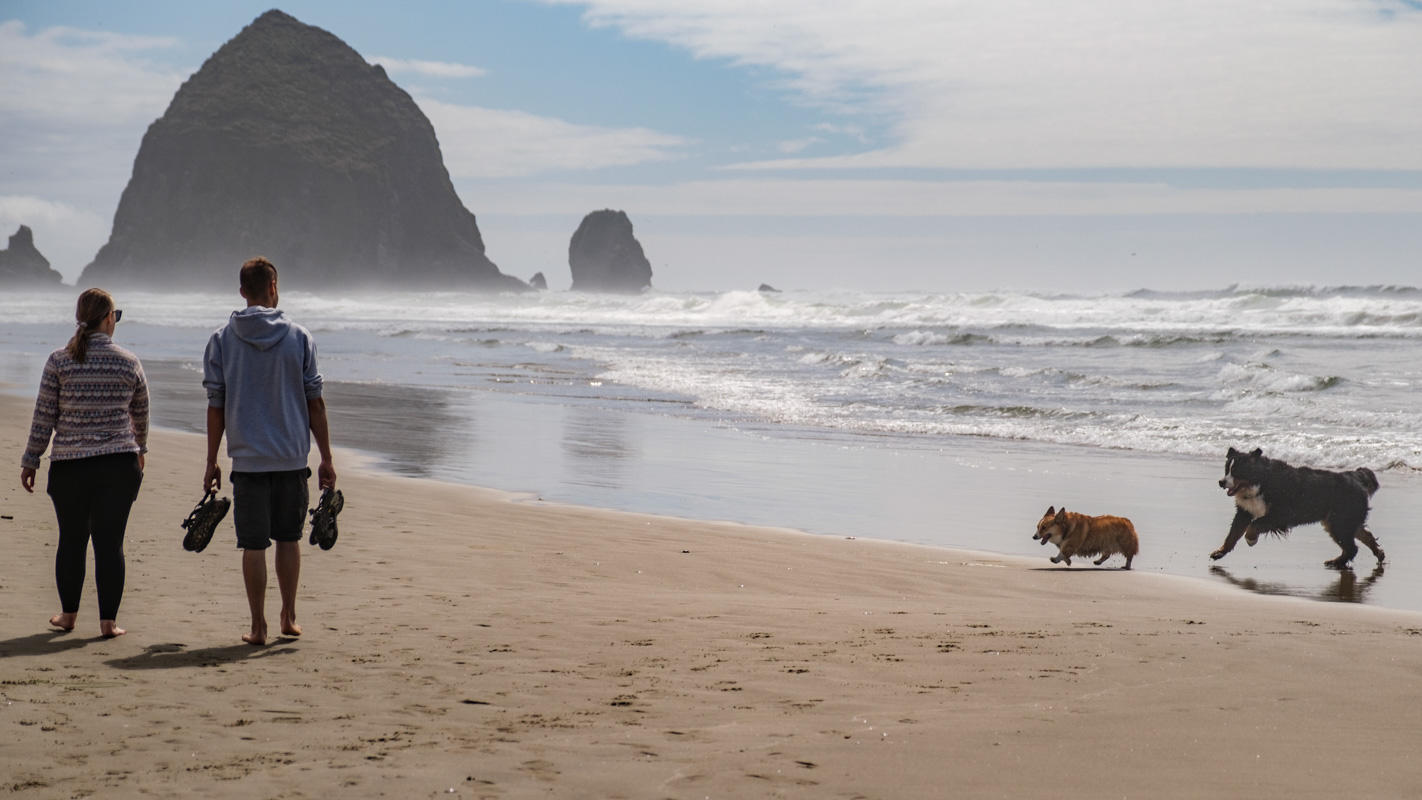 Cannon Beach / Haystack Rock