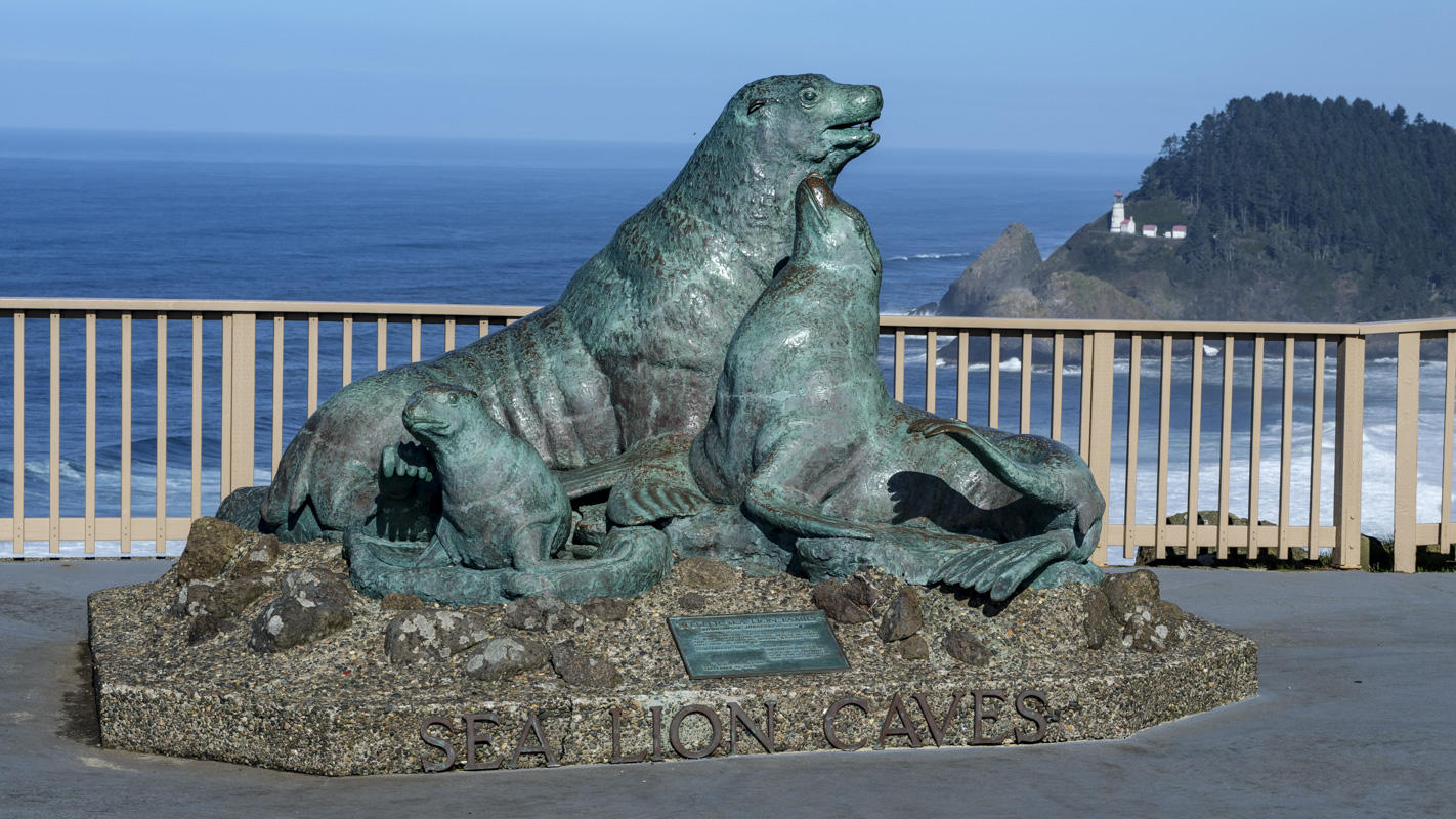 Sea Lion Caves