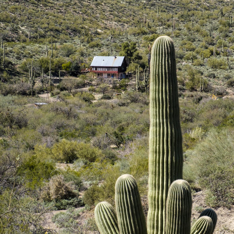 Jewel of the Creek Trail