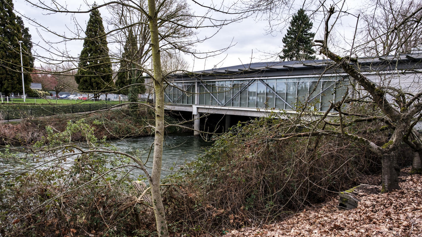 Renton Public Library