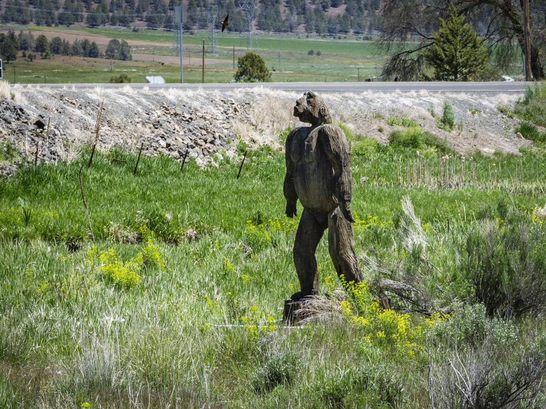 Bigfoot on a Riverbank