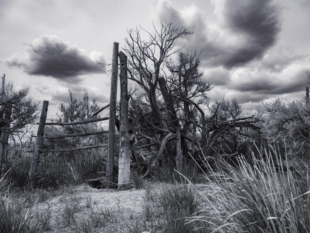 Shirk Ranch
