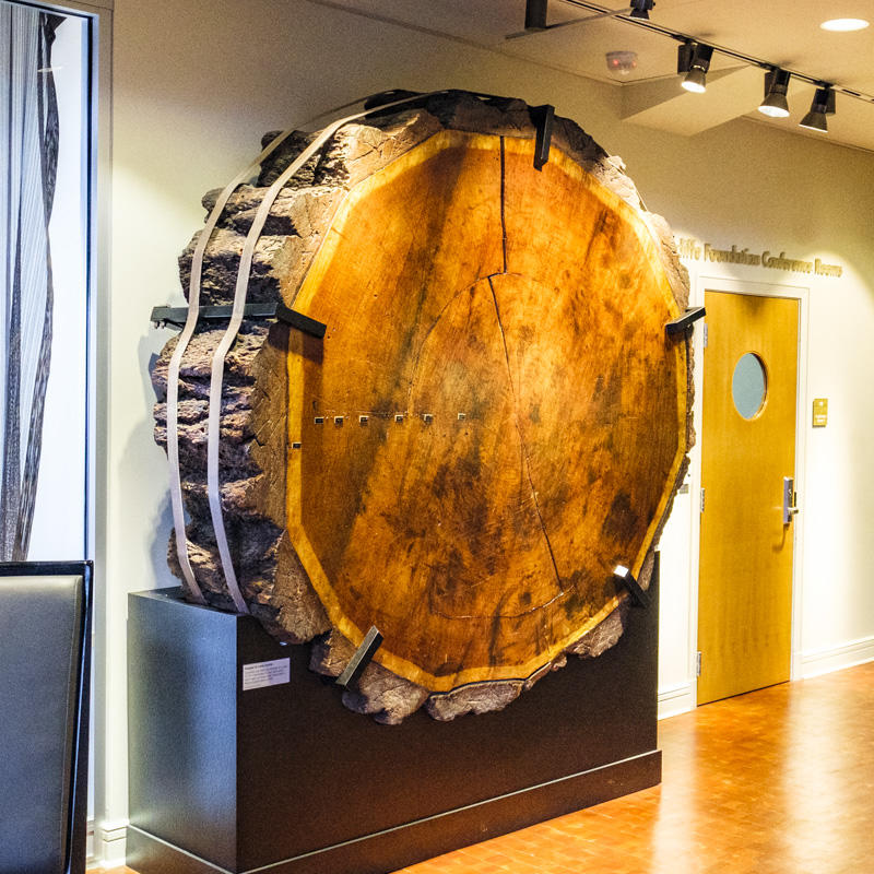 Museum of History and Industry