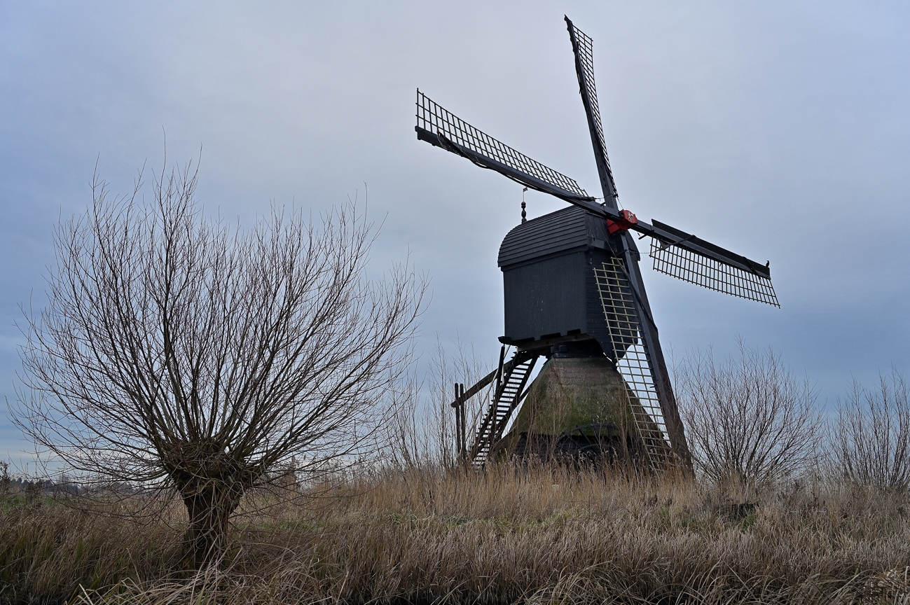 Uitwijkse molen