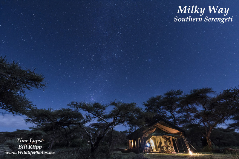 Milky Way Time Lapse -- Serians Serengeti South Camp