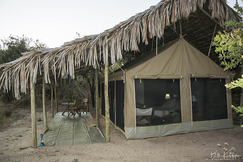 Tent Kigelia Ruaha Lodge  1