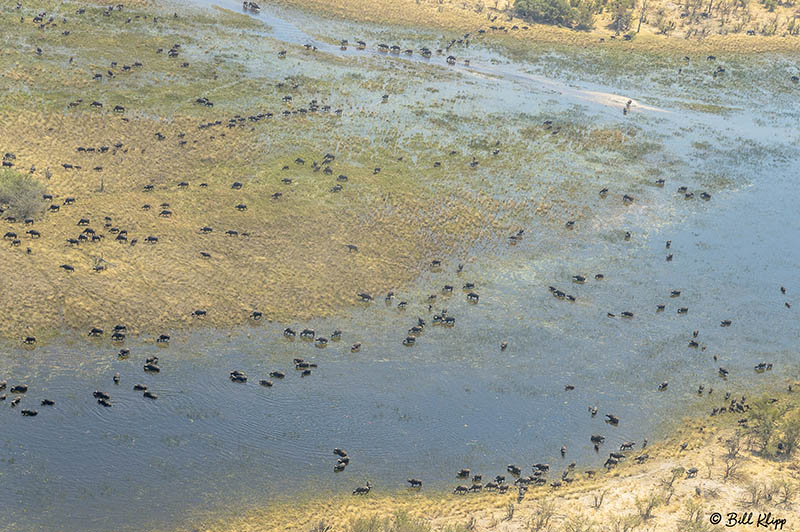 Okavango Delta Aerial   6
