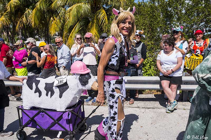 Cow Key Channel Bridge Run  24