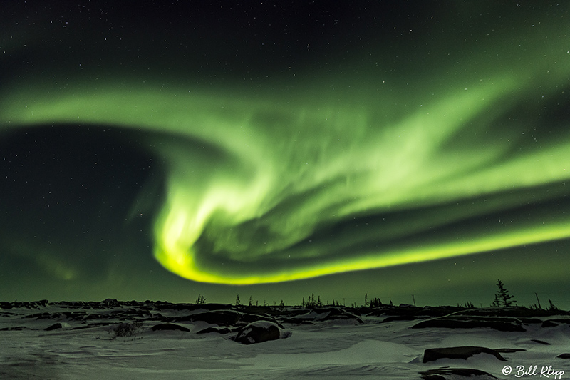 Northern Lights  20
