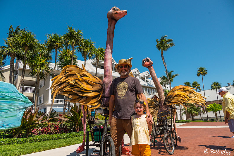 Papio Kinetic Sculpture Parade, Key West Photos by Bill Klipp