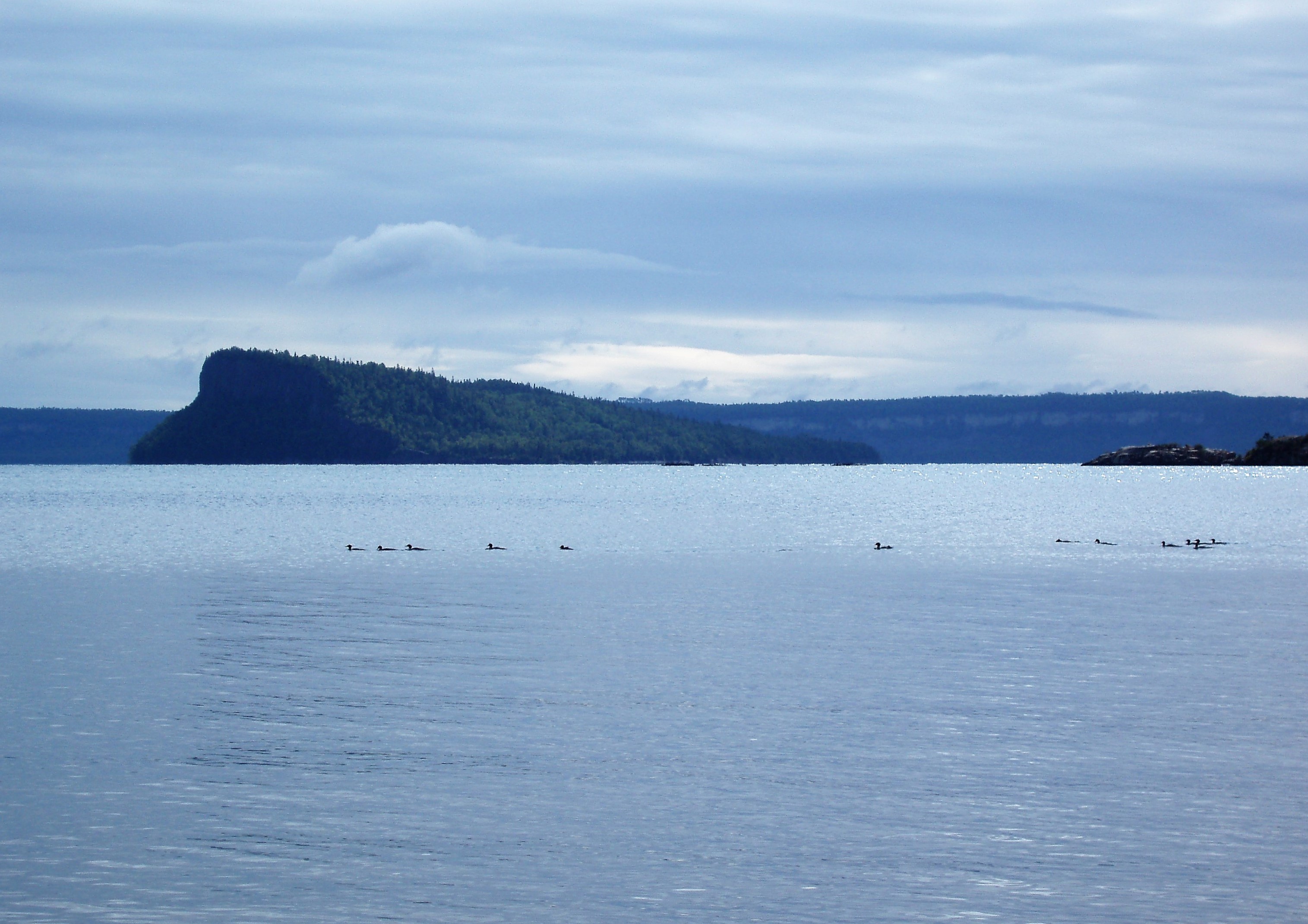 P8133521.JPG