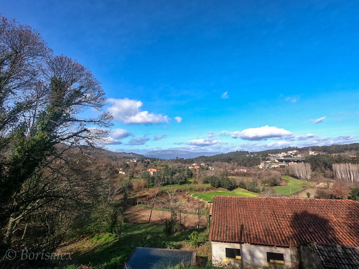 Spring is in the air...