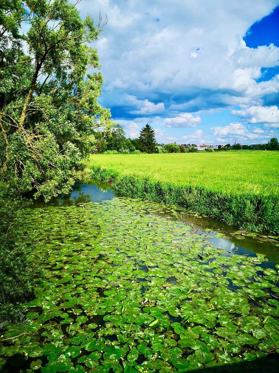Sommer