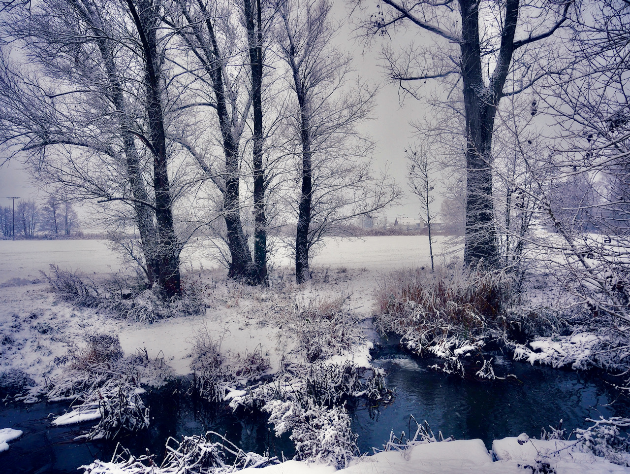 Winter
