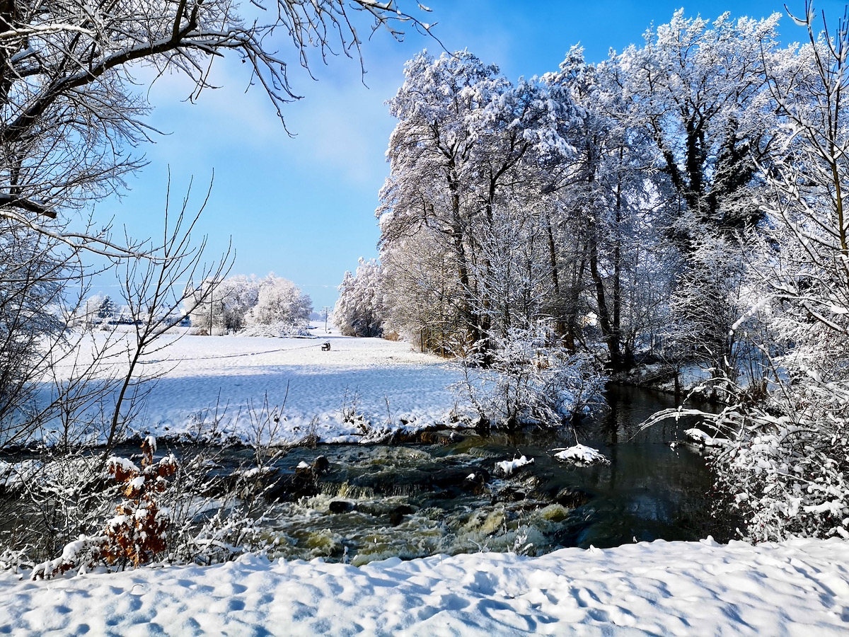 Winter 2021