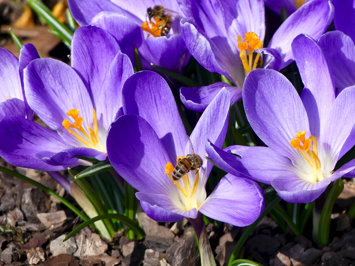 Spring is here...