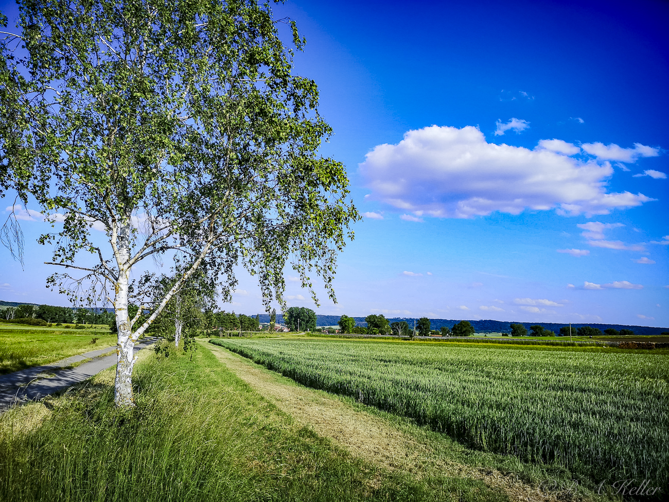 Landschaft