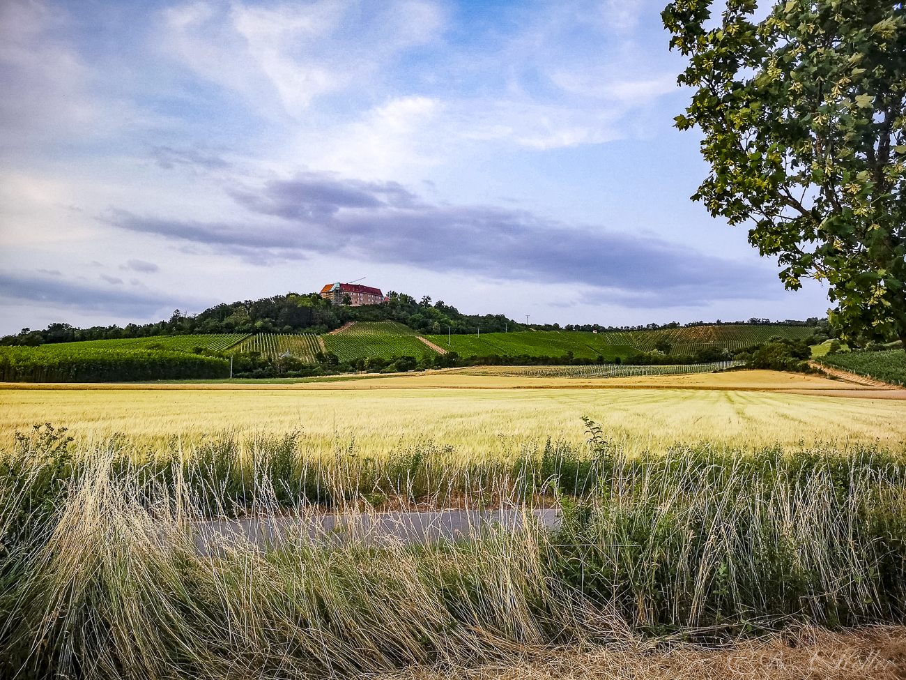 Landschaft