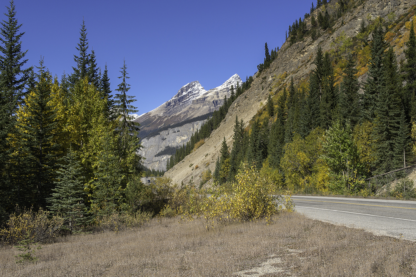 Fall Colors On The Ice Field Parkway