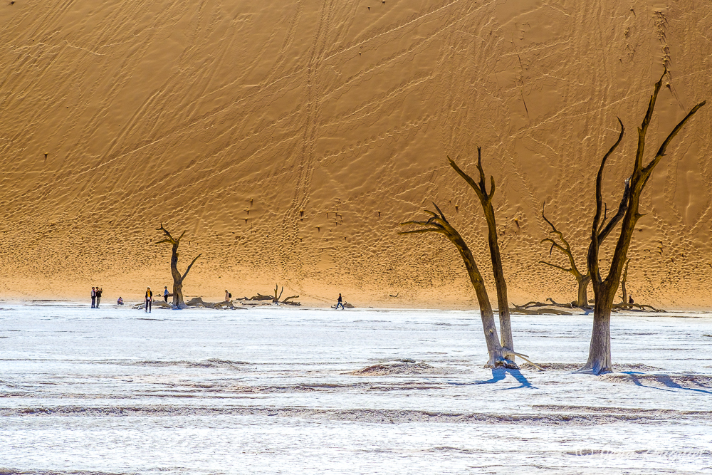 Dead vlei