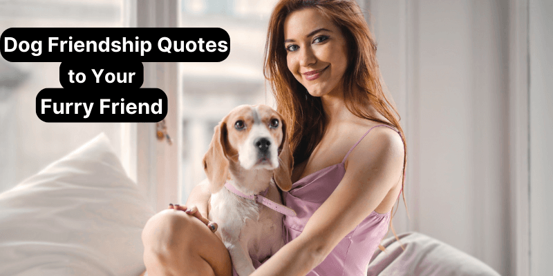Dog Friendship Quotes for Your Furry Friend