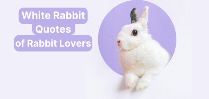 White Rabbit Quotes (3).png