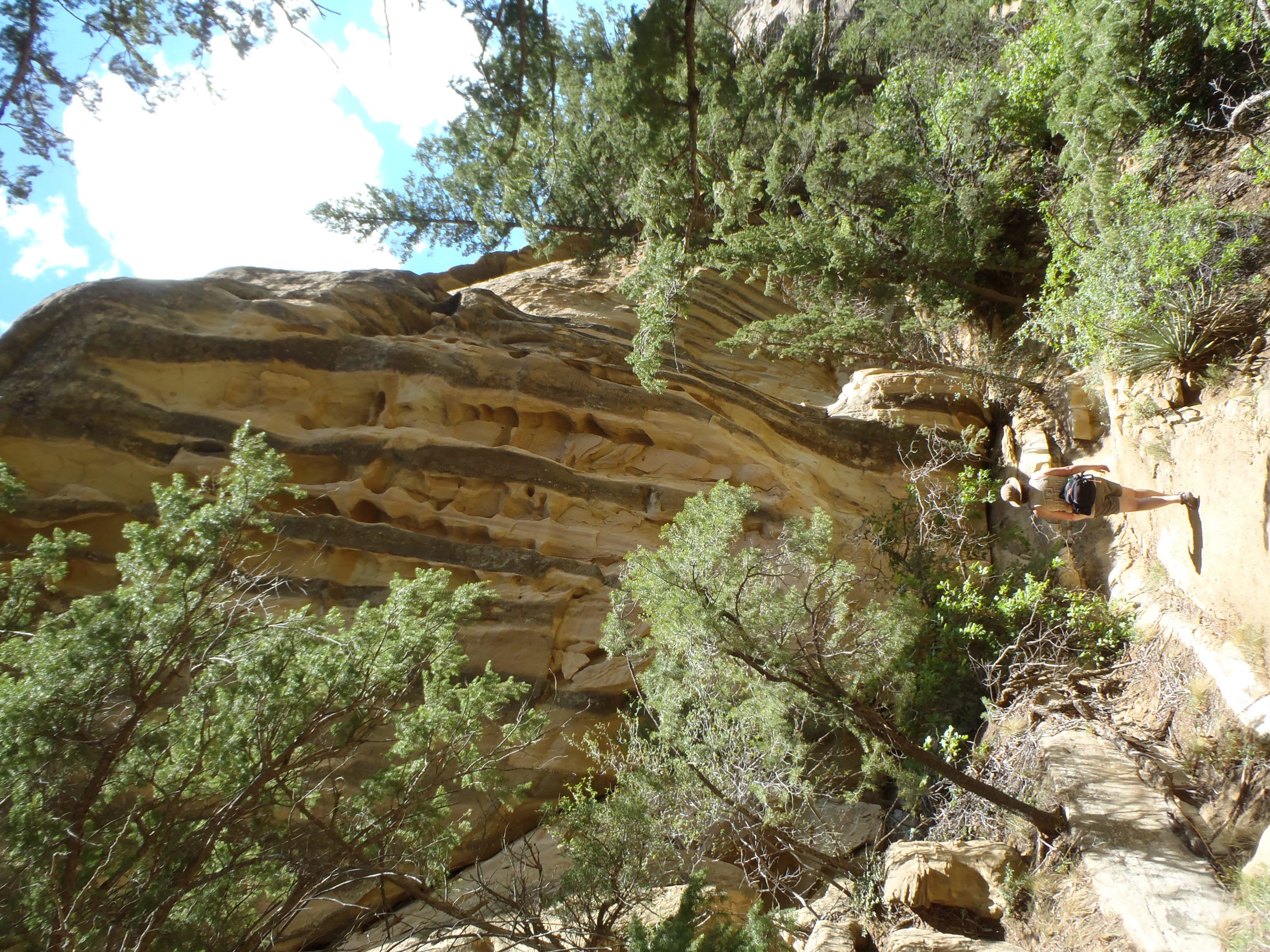 Along the cliffs