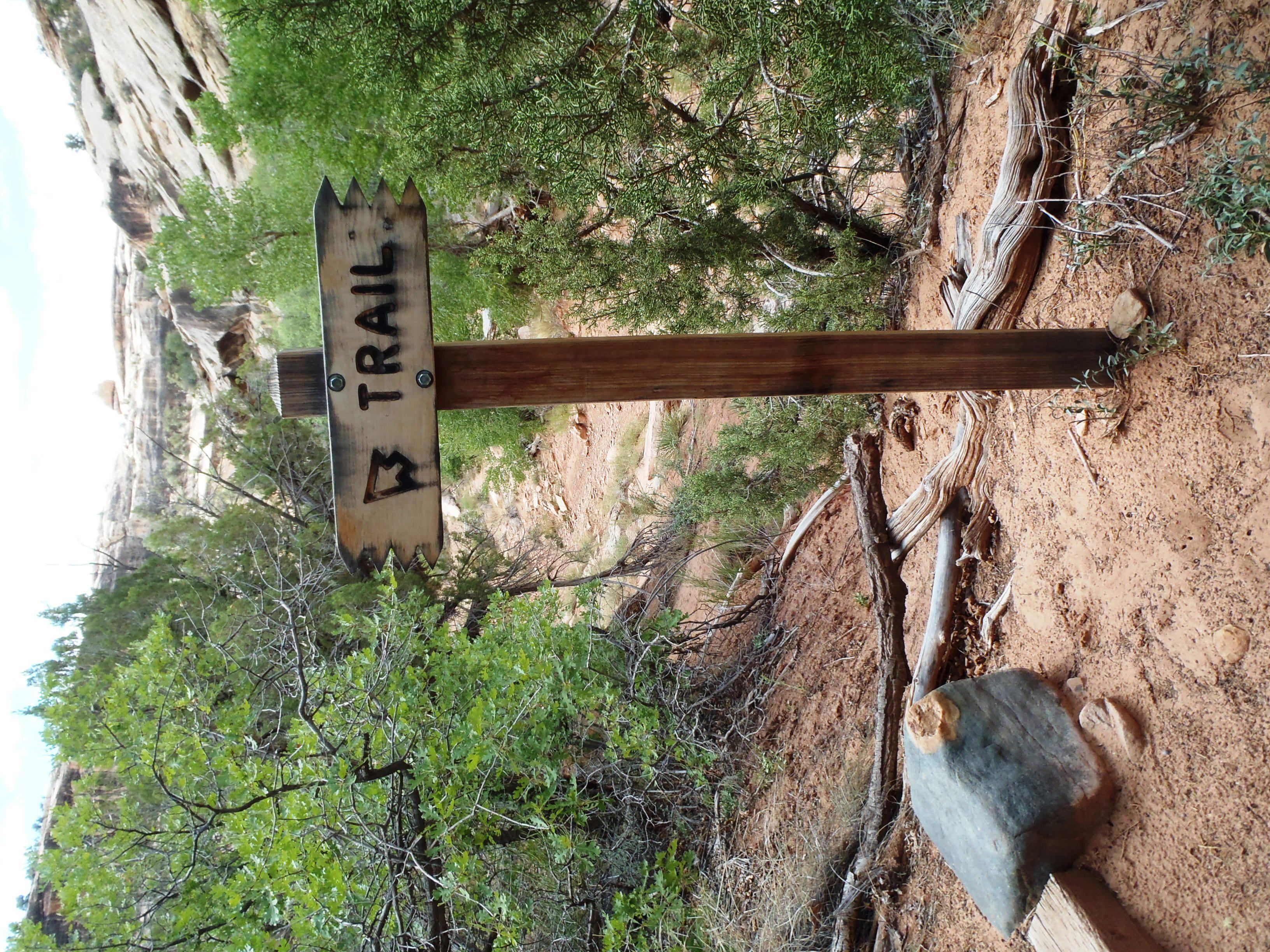 Trail marker
