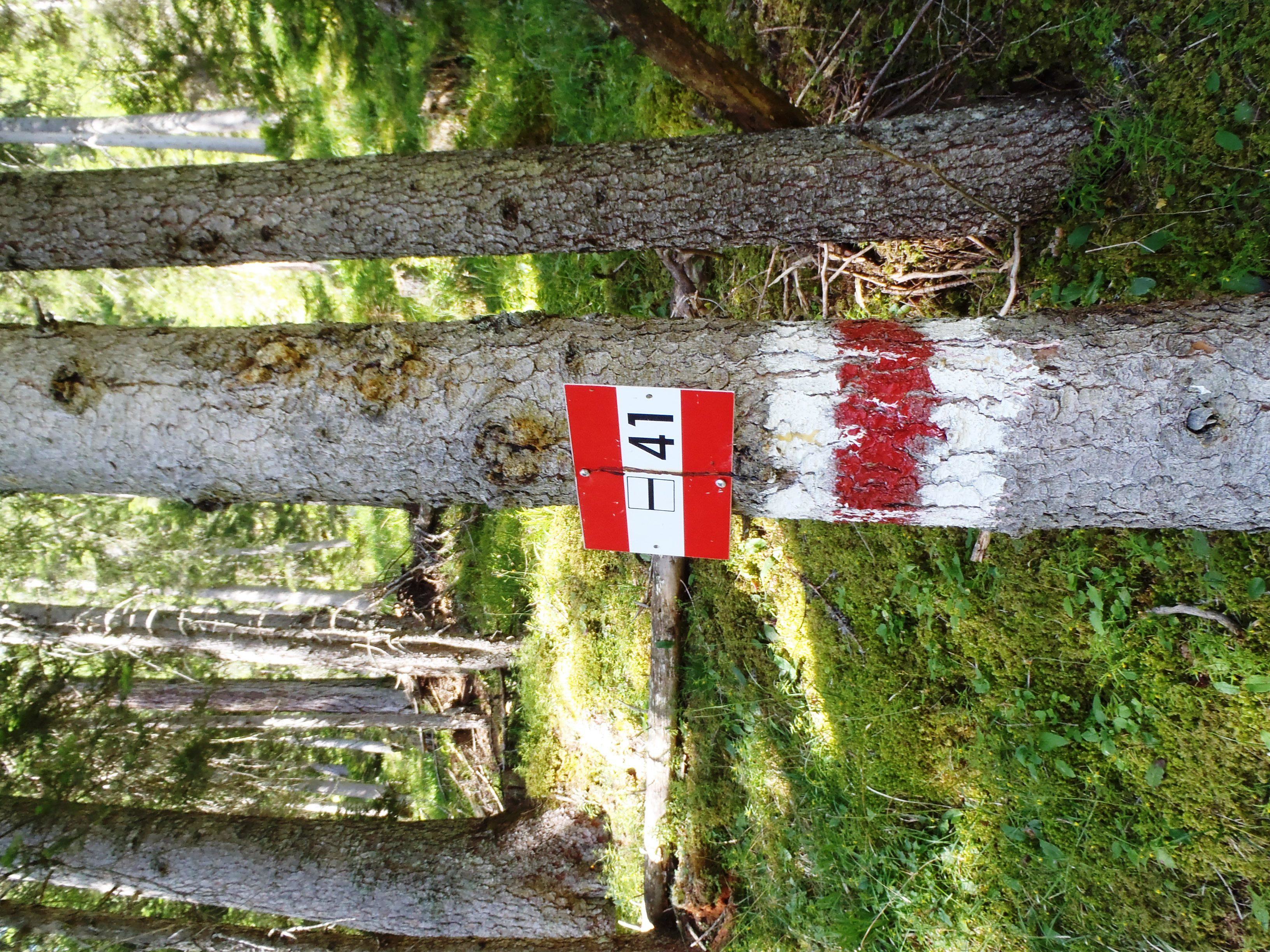 Trail marker