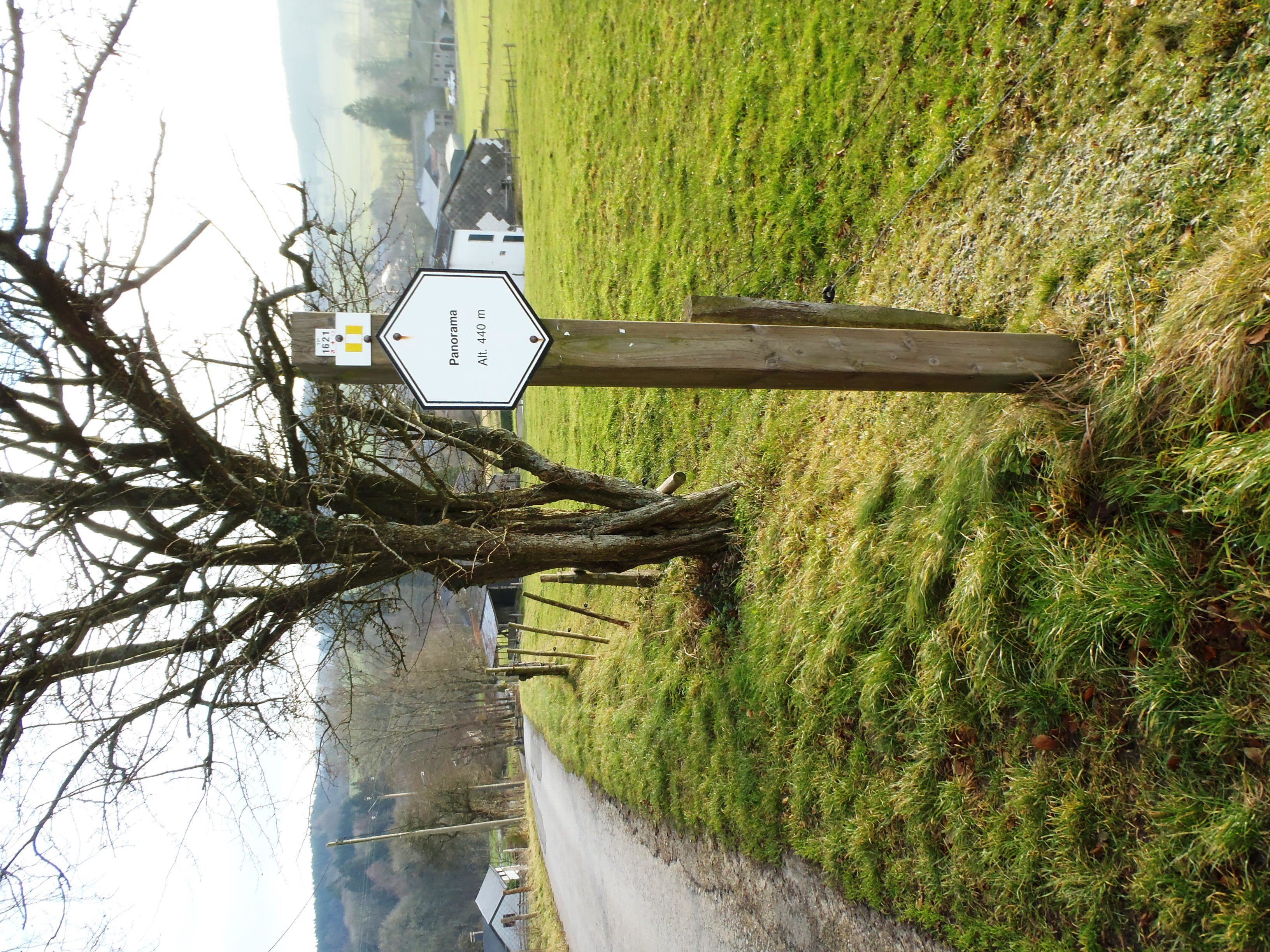 Descending road