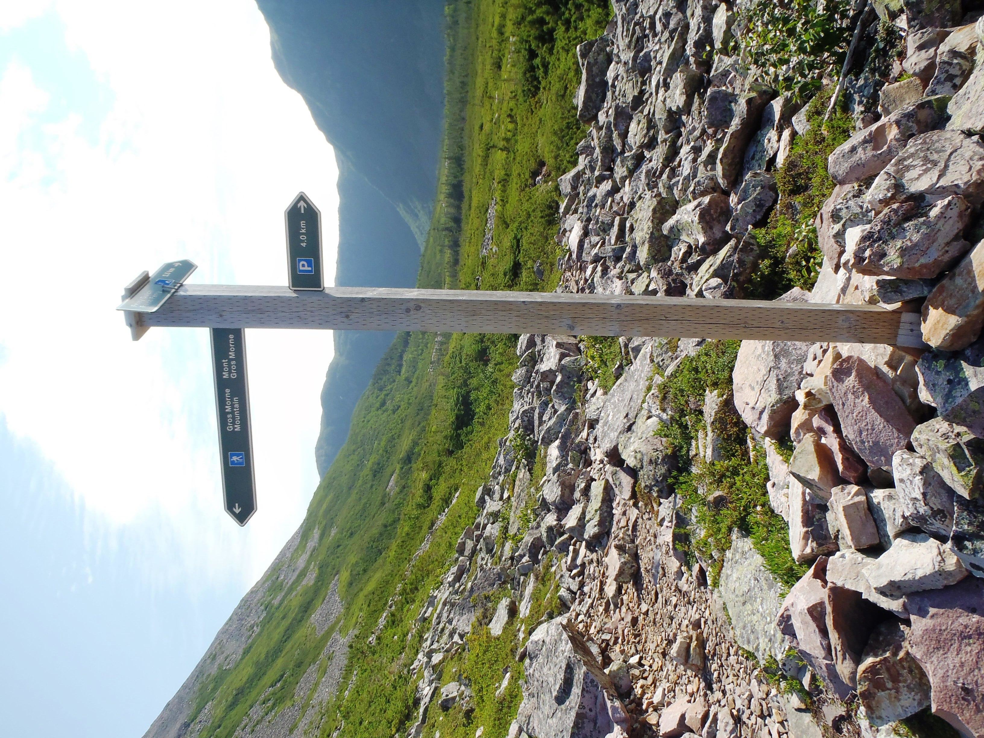 Signpost