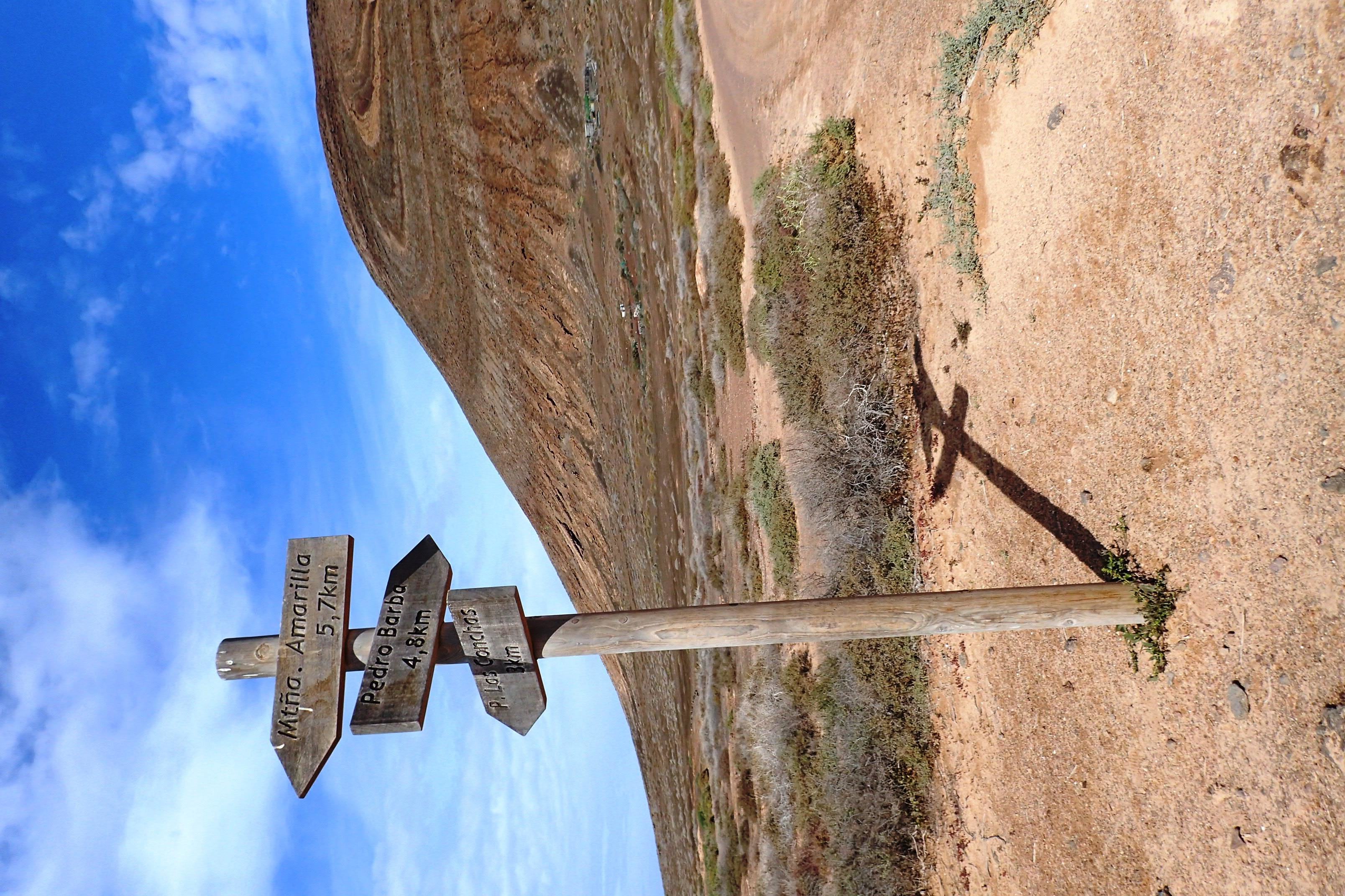 Wooden signpost