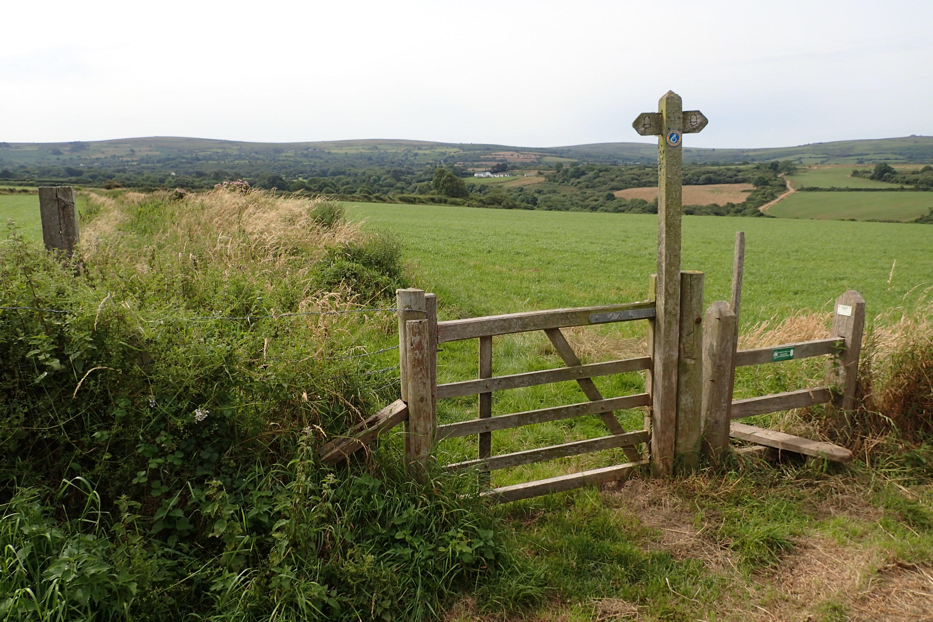 Fence with steps