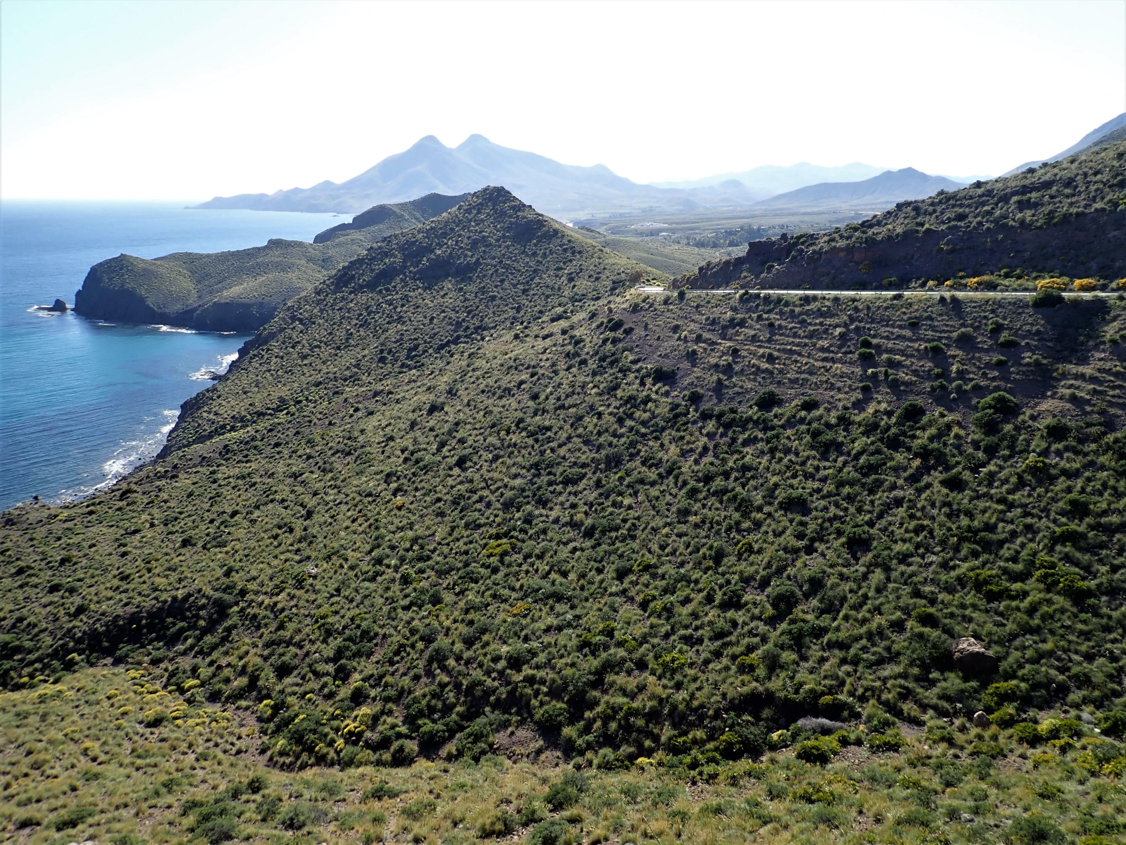 Rugged coast