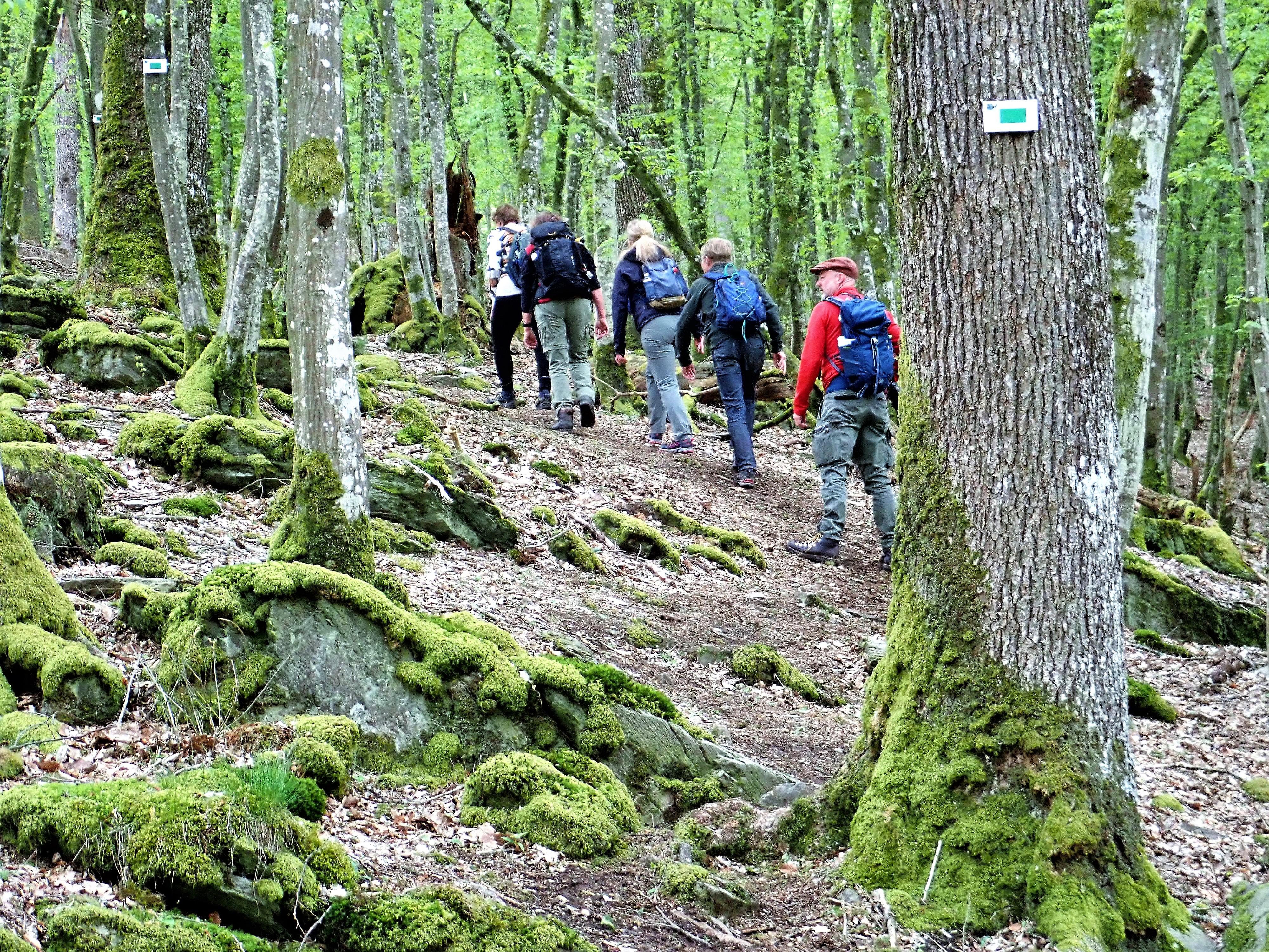 Going uphill