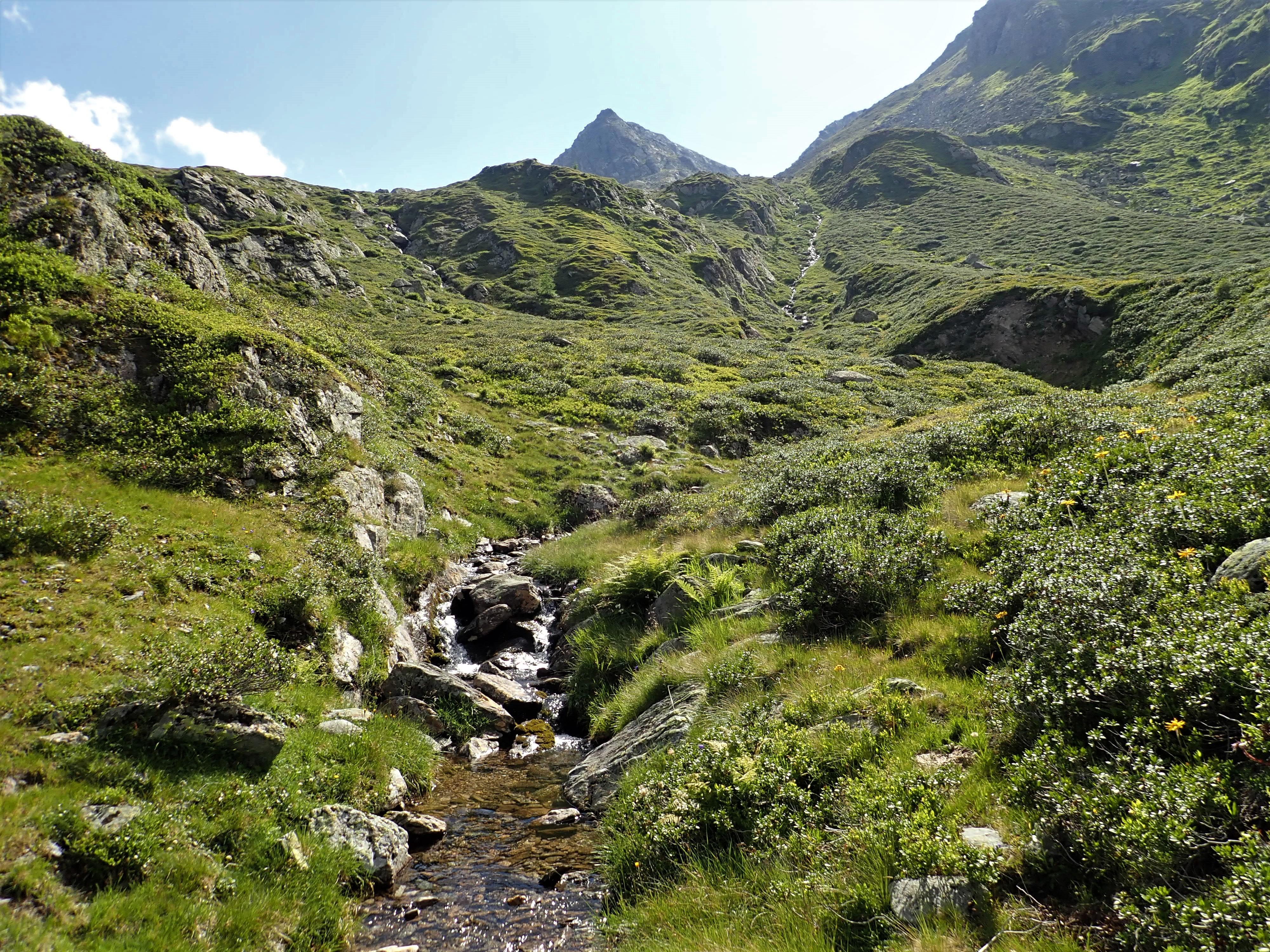 Mountain stream