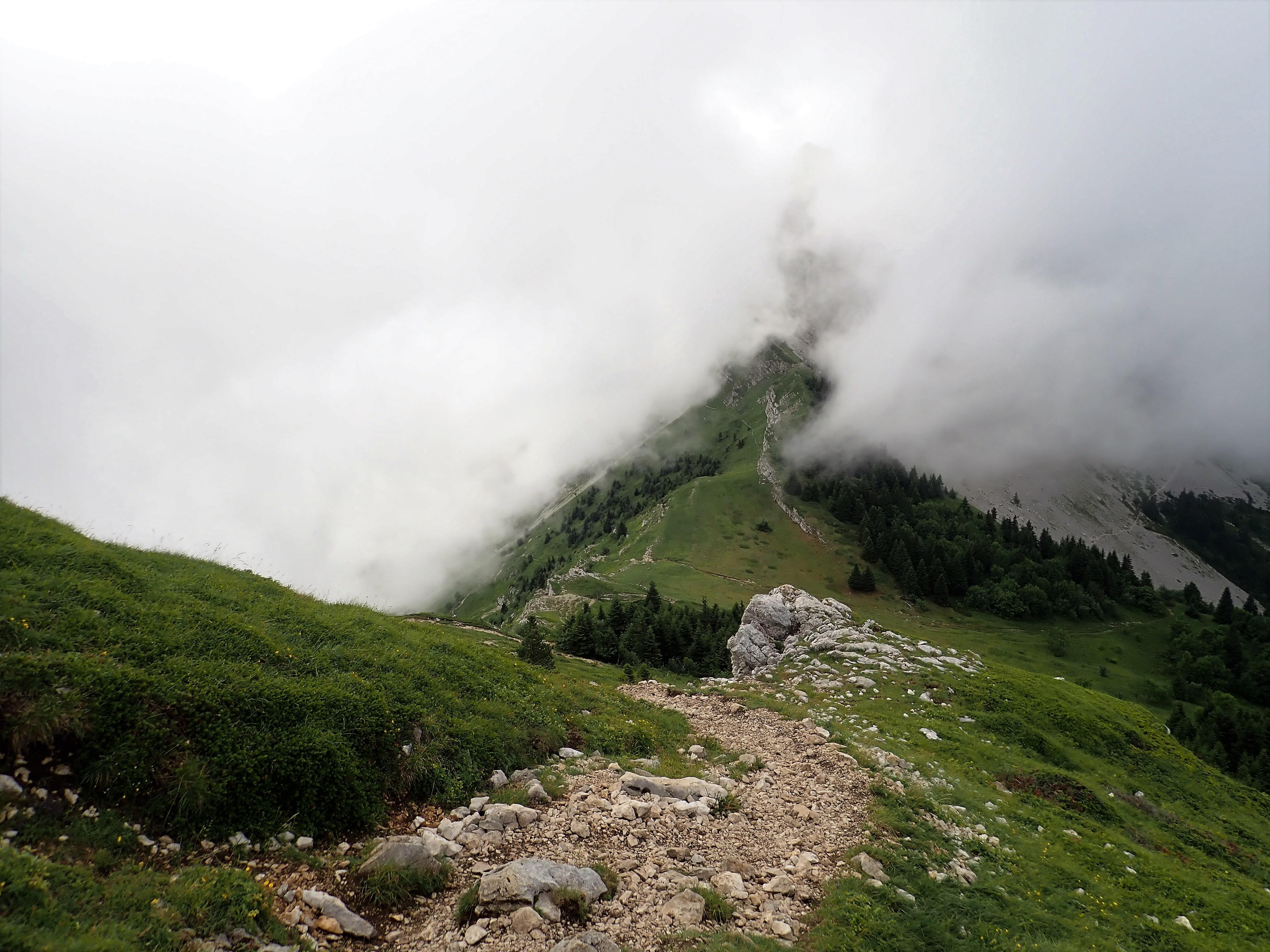 Winding trail