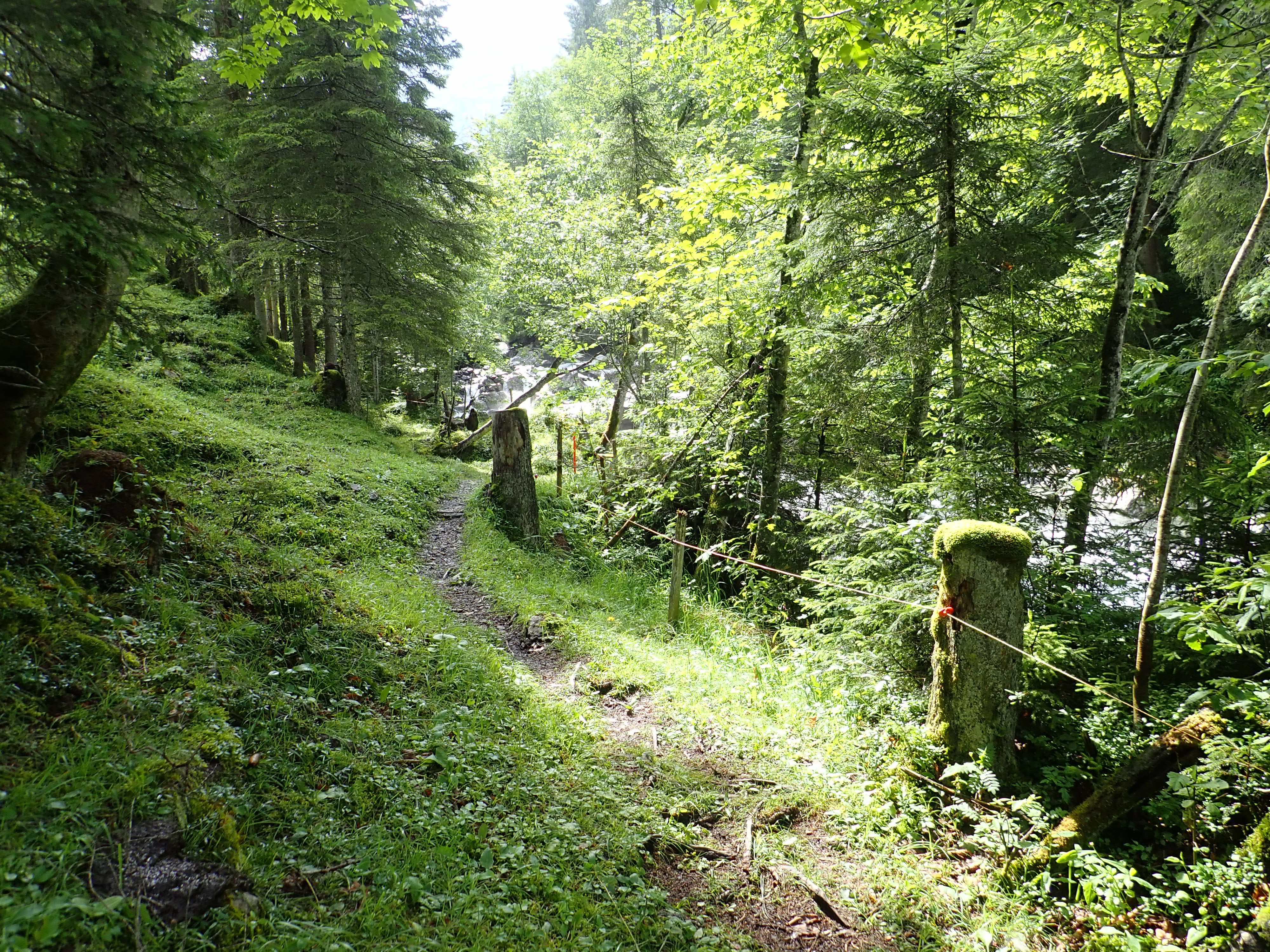 Green trail