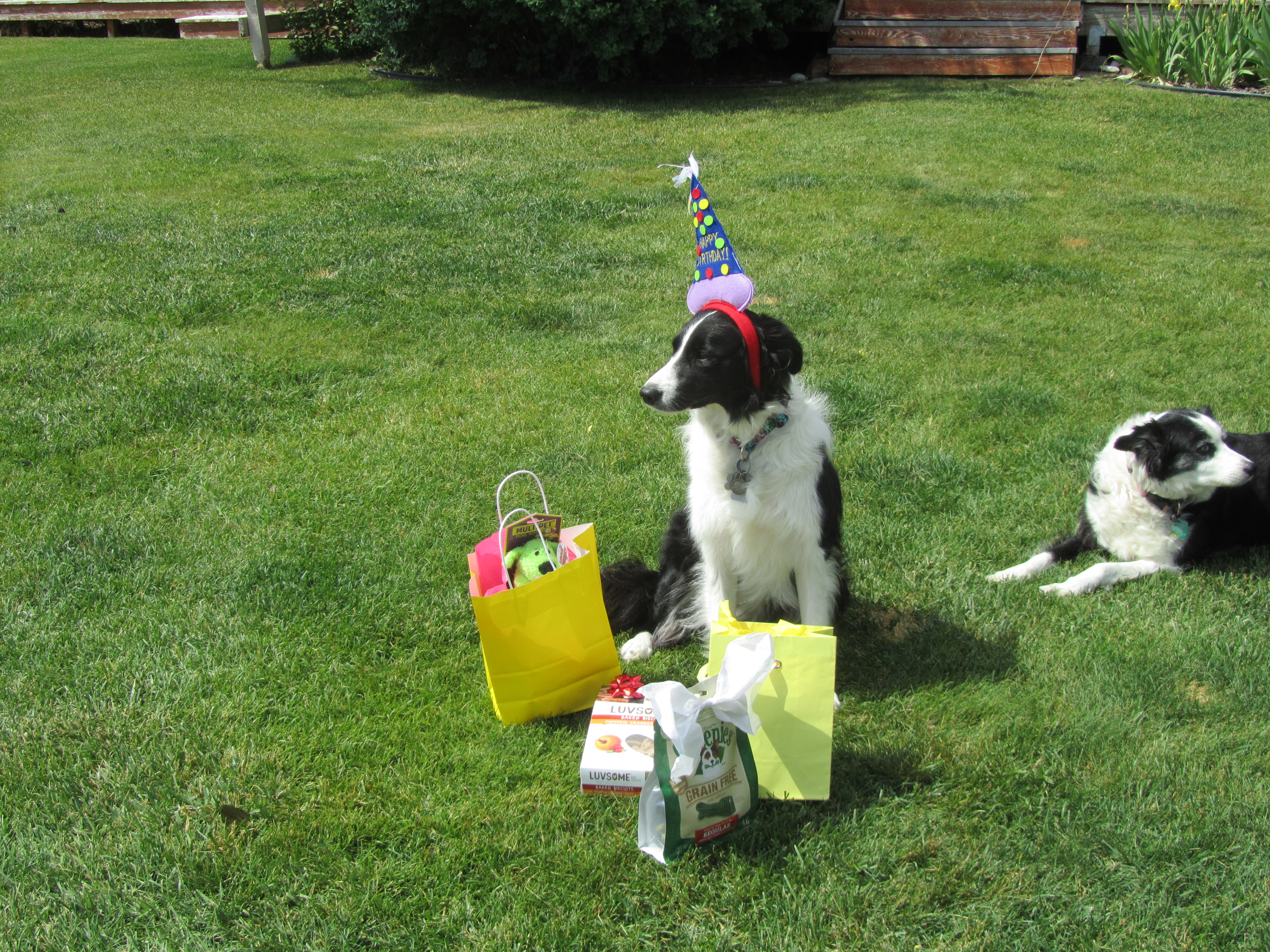 Oakley Birthday 